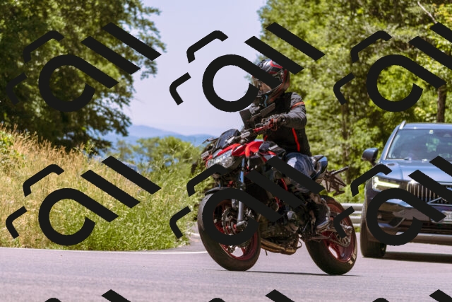 202506291244-_DSC2213_d1_