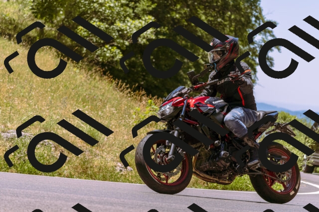 202506291244-_DSC2214_d1_