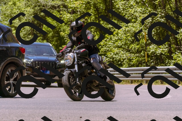 202506291244-_DSC2215_d1_