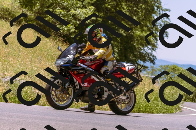 202506291244-_DSC2219_d1_