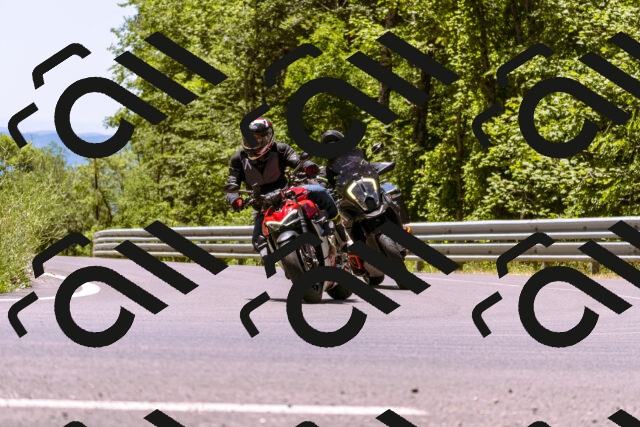 202506291245-_DSC2223_d1_