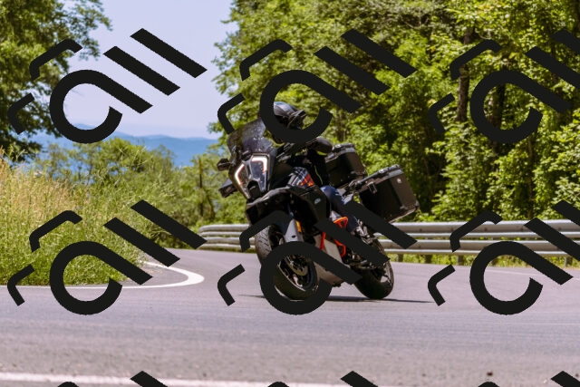 202506291245-_DSC2225_d1_