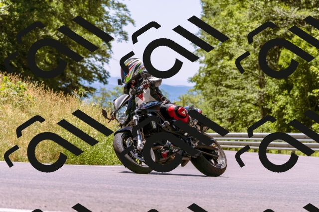 202506291250-_DSC2247_d1_