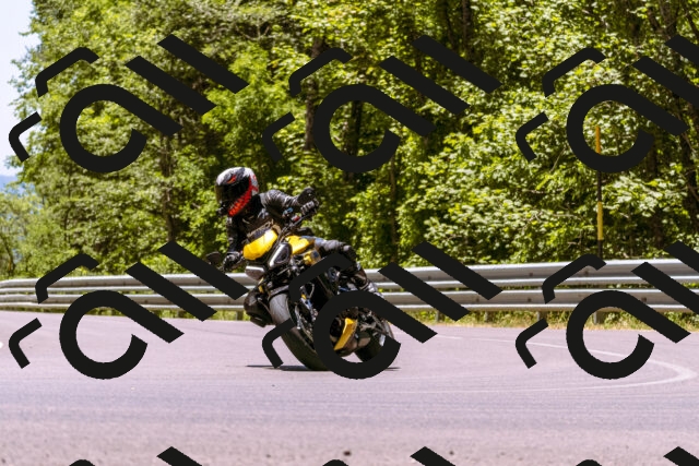 202506291251-_DSC2256_d1_