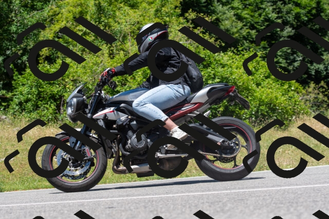 20250629124019-R01_0373_r1