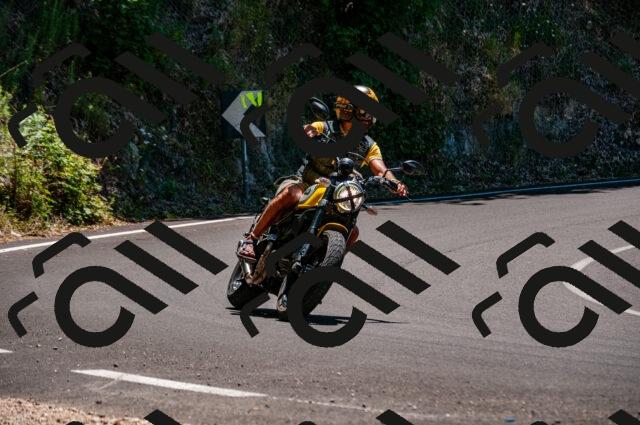 202506291311-DSC_5149_d2_