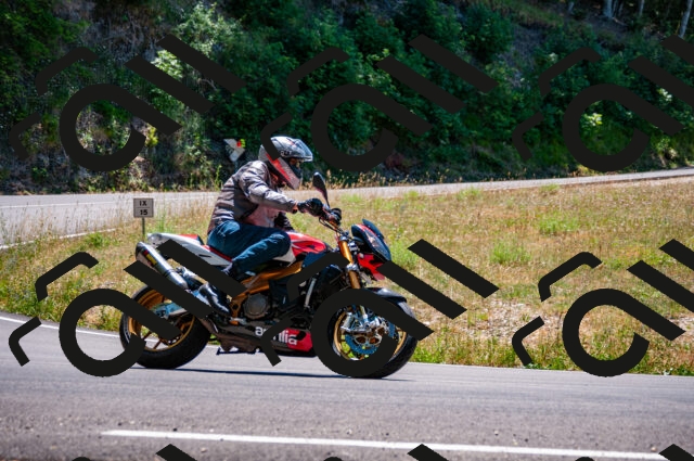 202506291324-DSC_5206_d2_