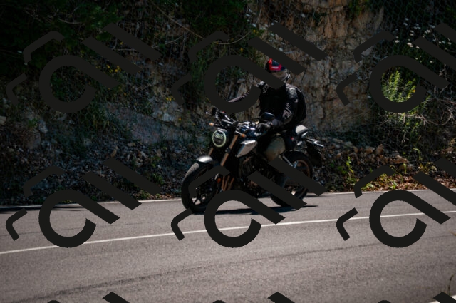 202506291327-DSC_5217_d2_