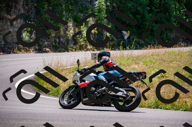 202506291330-DSC_5236_d2_