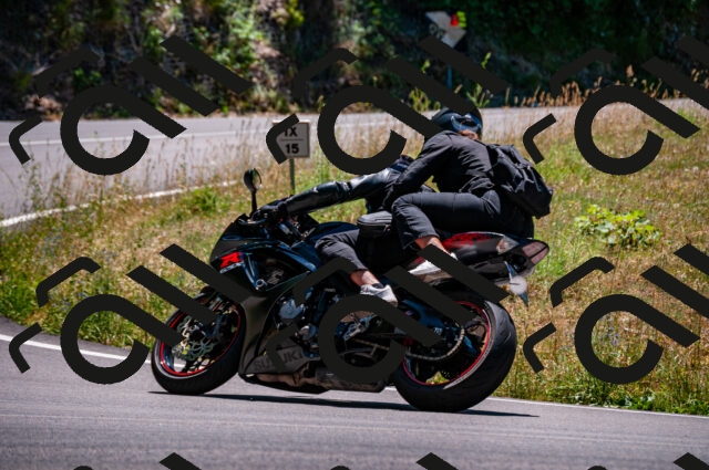 202506291330-DSC_5239_d2_