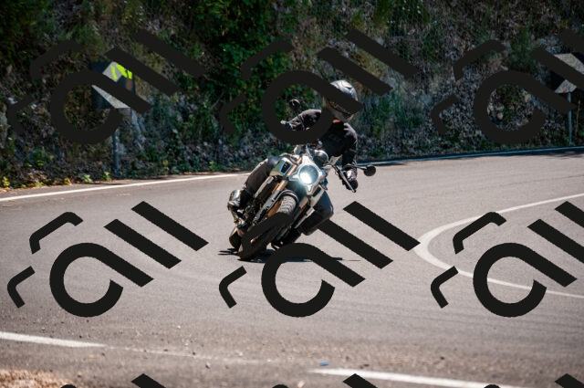 202506291331-DSC_5257_d2_