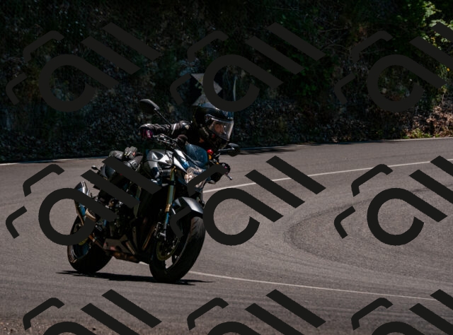 202506291340-DSC_5295_d2_