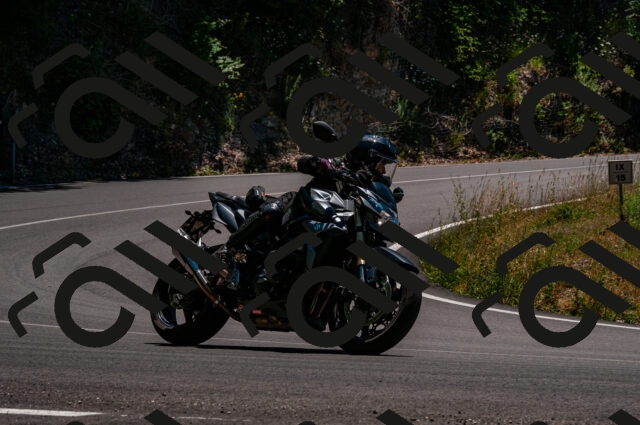 202506291340-DSC_5296_d2_