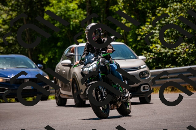 202506291350-DSC_5335_d2_