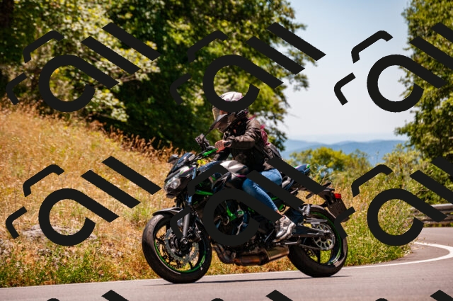 202506291350-DSC_5336_d2_