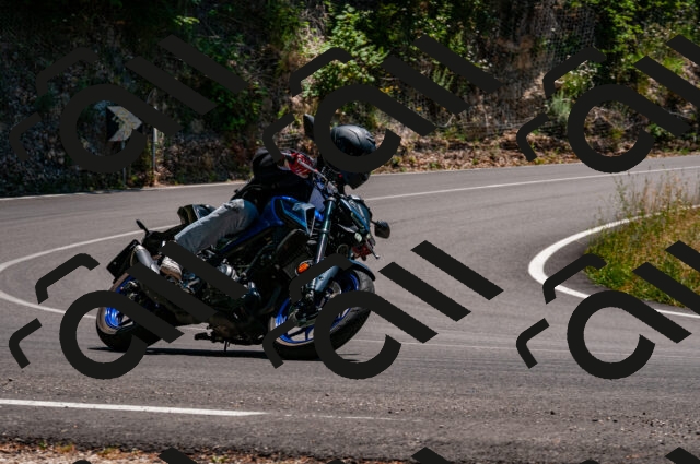 202506291404-DSC_5379_d2_