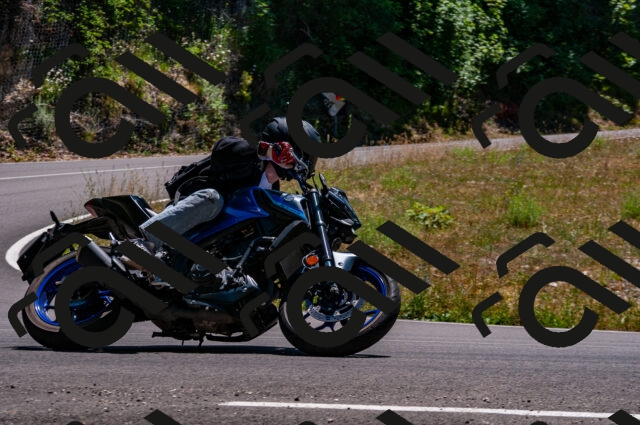 202506291404-DSC_5380_d2_