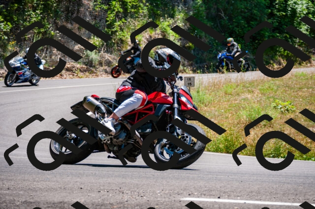 202506291404-DSC_5387_d2_