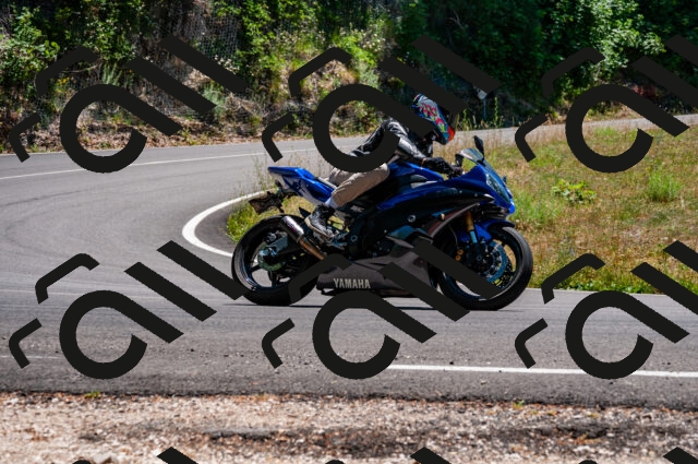 202506291404-DSC_5393_d2_