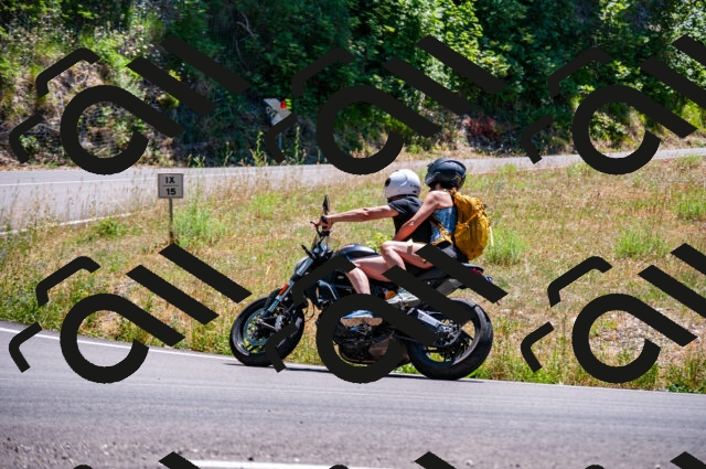 202506291406-DSC_5411_d2_