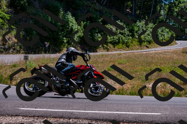 202506291419-DSC_5436_d2_