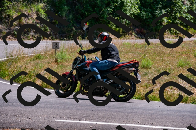 202506291422-DSC_5450_d2_