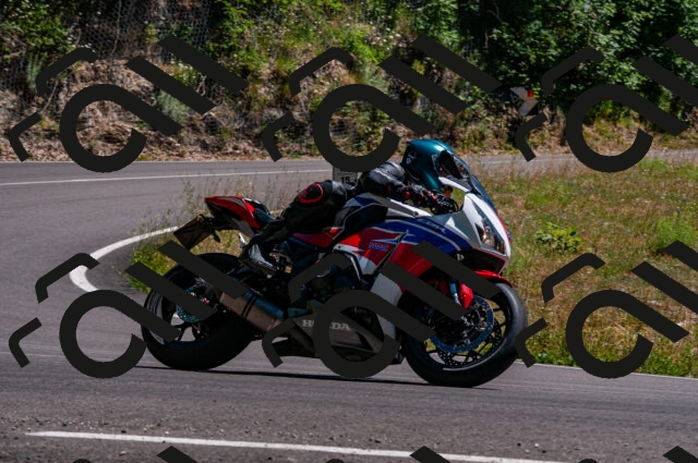 202506291456-DSC_5515_d2_