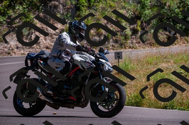 202506291527-DSC_5596_d2_