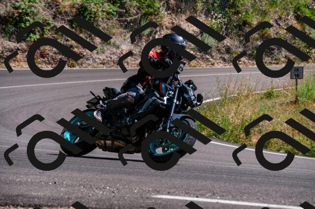 202506291532-DSC_5617_d2_