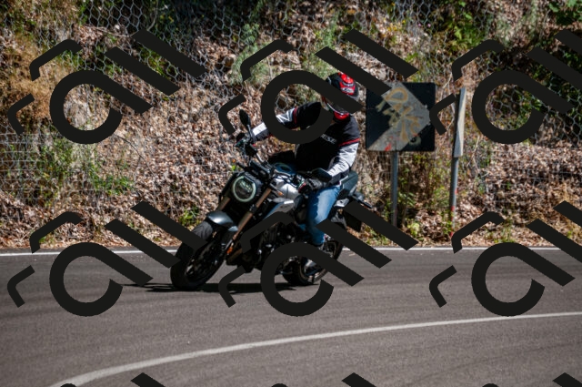 202506291543-DSC_5683_d2_