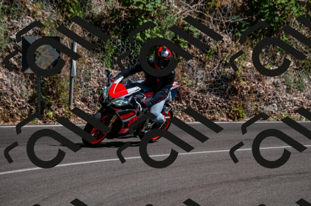 202506291550-DSC_5713_d2_