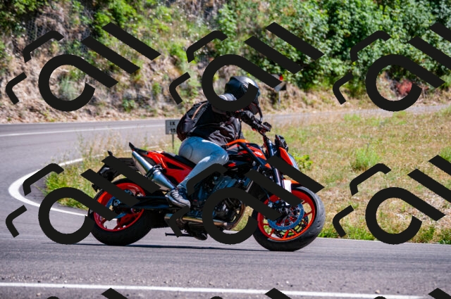 202506291550-DSC_5722_d2_