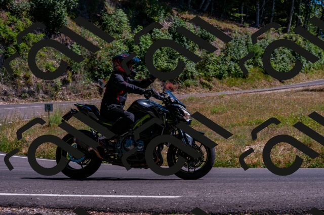 202506291551-DSC_5730_d2_