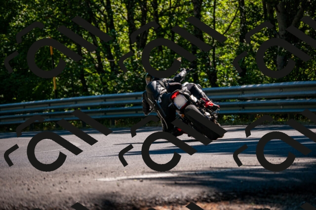 202506291605-DSC_5831_d2_