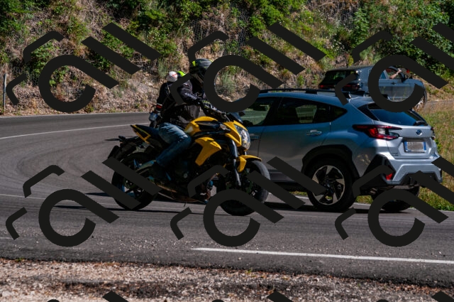 202506291633-DSC_5954_d2_