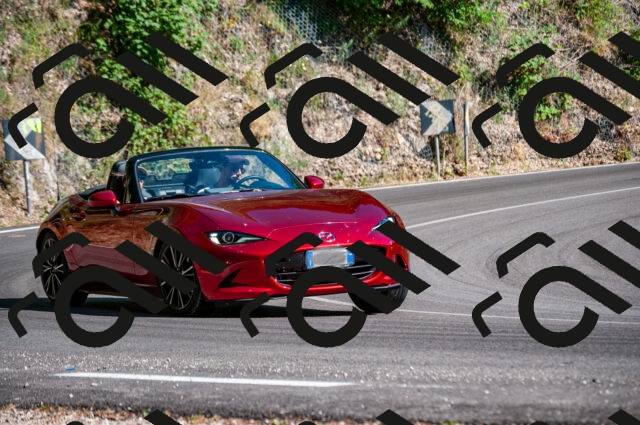 202506291652-DSC_5986_d2_