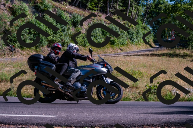 202506291658-DSC_6015_d2_