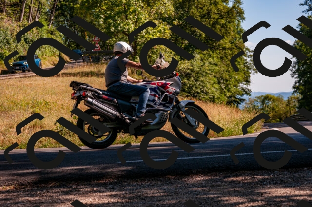 202506291715-DSC_6044_d2_