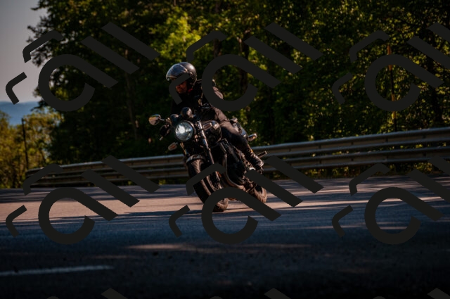 202506291717-DSC_6050_d2_