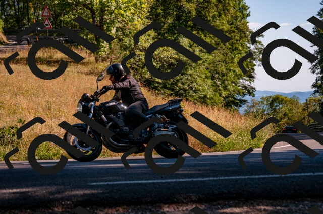 202506291717-DSC_6051_d2_