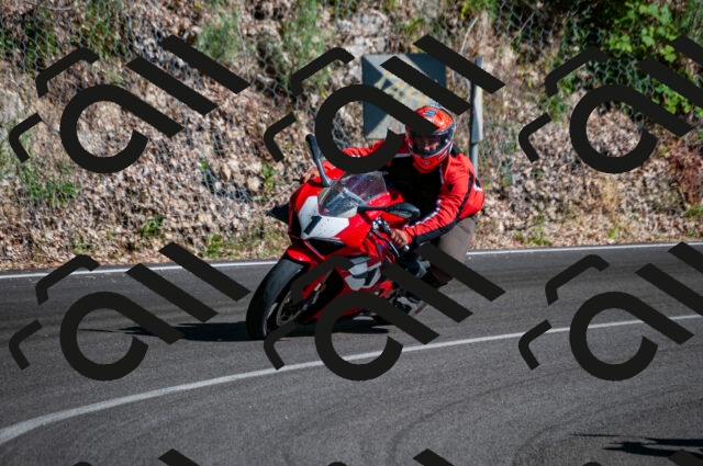 202506291719-DSC_6060_d2_