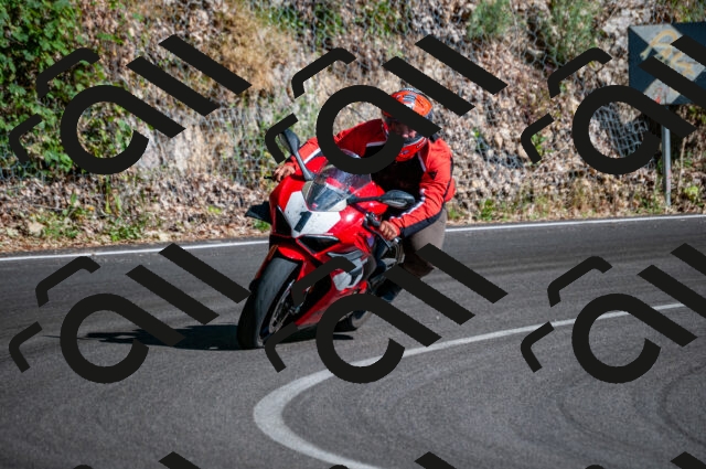 202506291719-DSC_6061_d2_