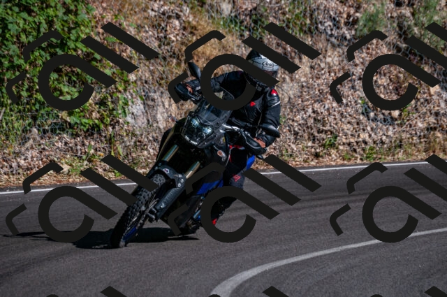 202506291721-DSC_6066_d2_