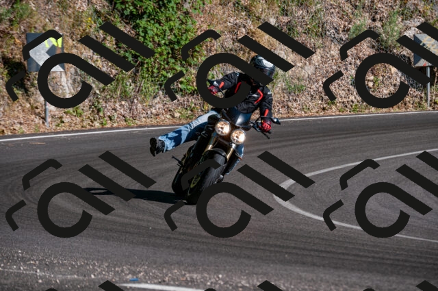 202506291741-DSC_6151_d2_