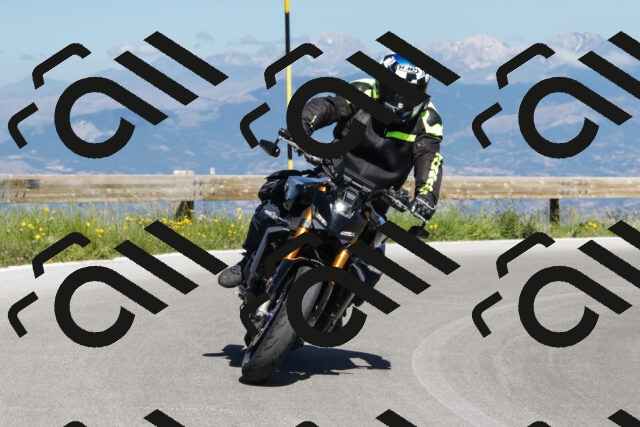 202506291031-239A9422-_c6_