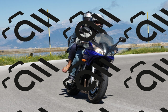 202506291044-239A9444-_c6_