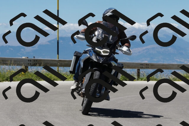 202506291413-239A9840-_c6_