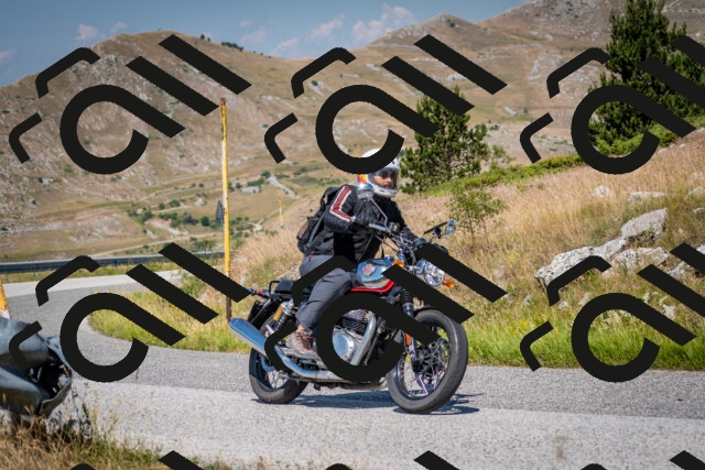 202507051054-DSC_4078_c2