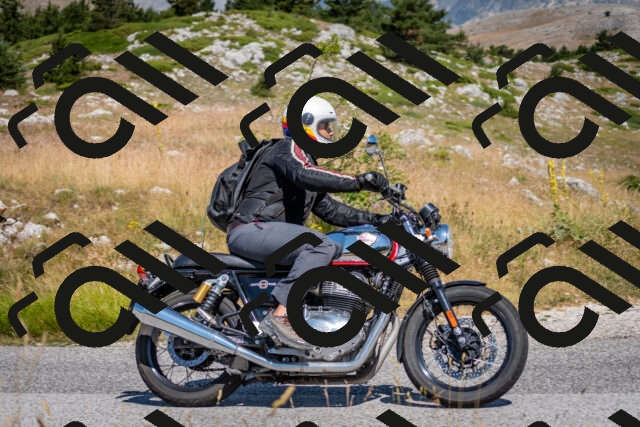 202507051054-DSC_4079_c2