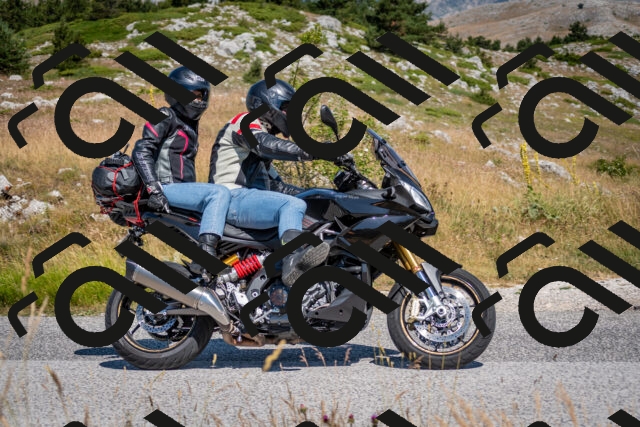 202507051056-DSC_4085_c2